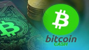 Bitcoin Cash Nasil Alinir