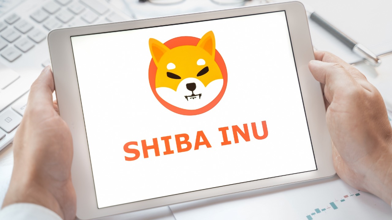 8.000 Dolarlık SHIB Alan Cüzdan, 5.7 Milyar Doları Gördü