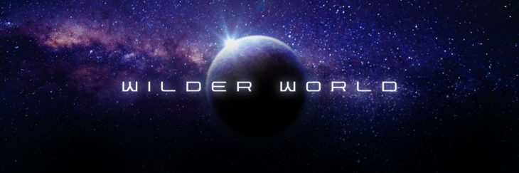 WILD coin nedir WILD coin nedir