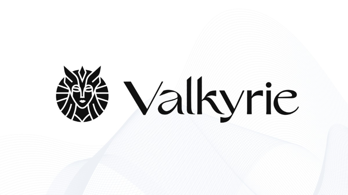 Valkyrie Investments'dan Blockchain Projelerine Hazine Yönetimi - BTCHaber