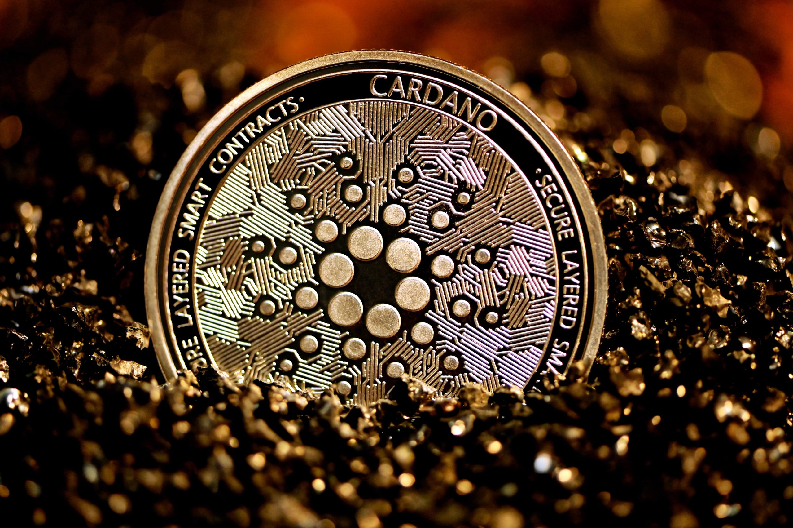 Cardano, Şubat Ayında Günde 5 Bine Yakın Yeni Cüzdan Ekledi