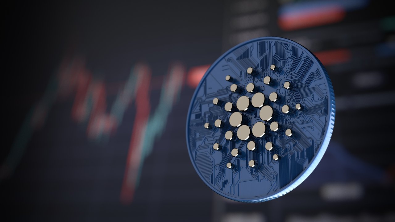Cardano’nun Büyük İşlemleri 24 Saatte Artış Gösterdi