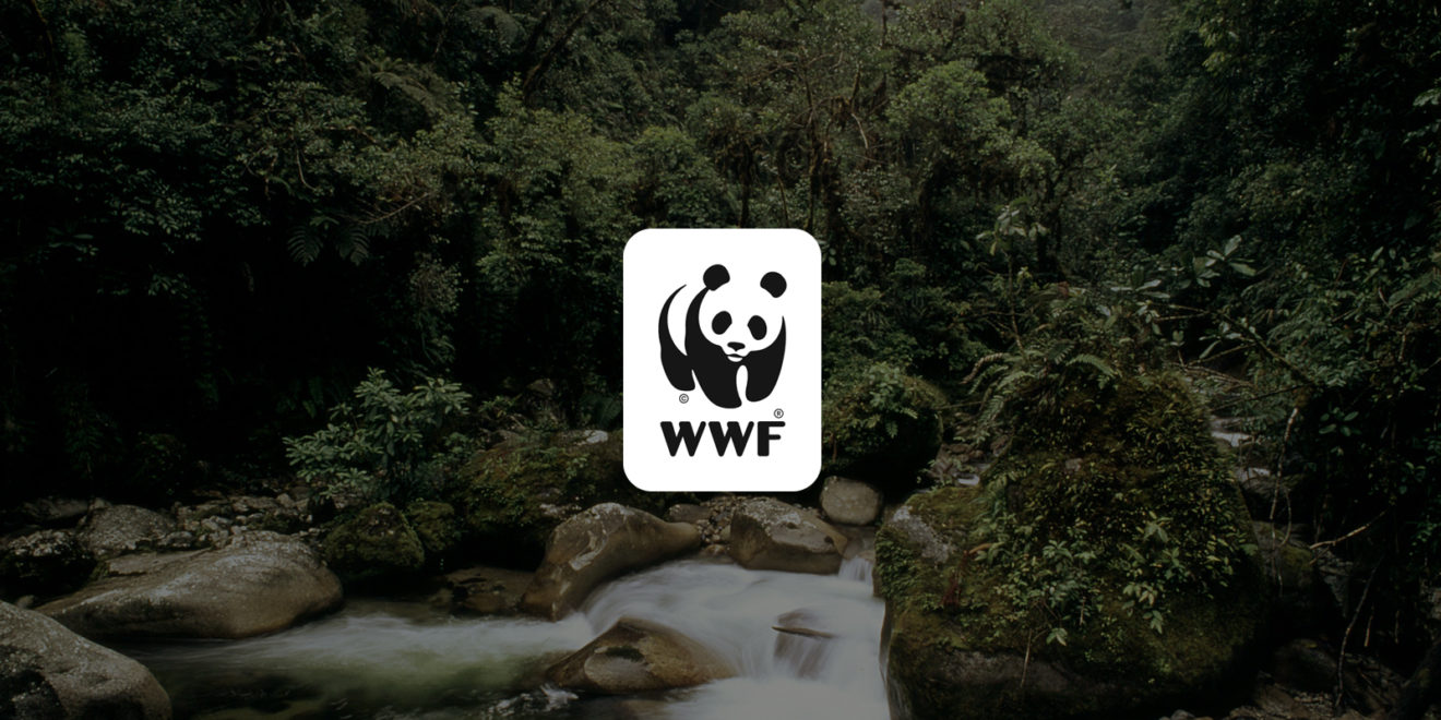 WWF, NFT Koleksiyonunu Geri Çektiğini Duyurdu