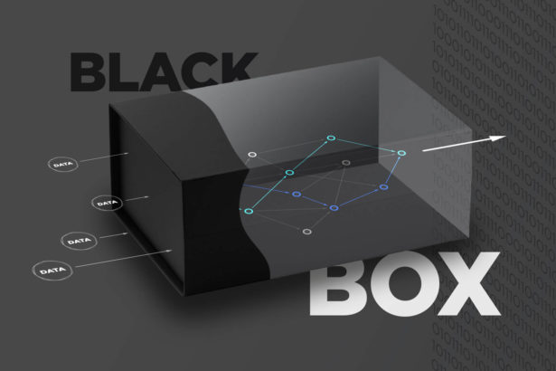 Black Box Model