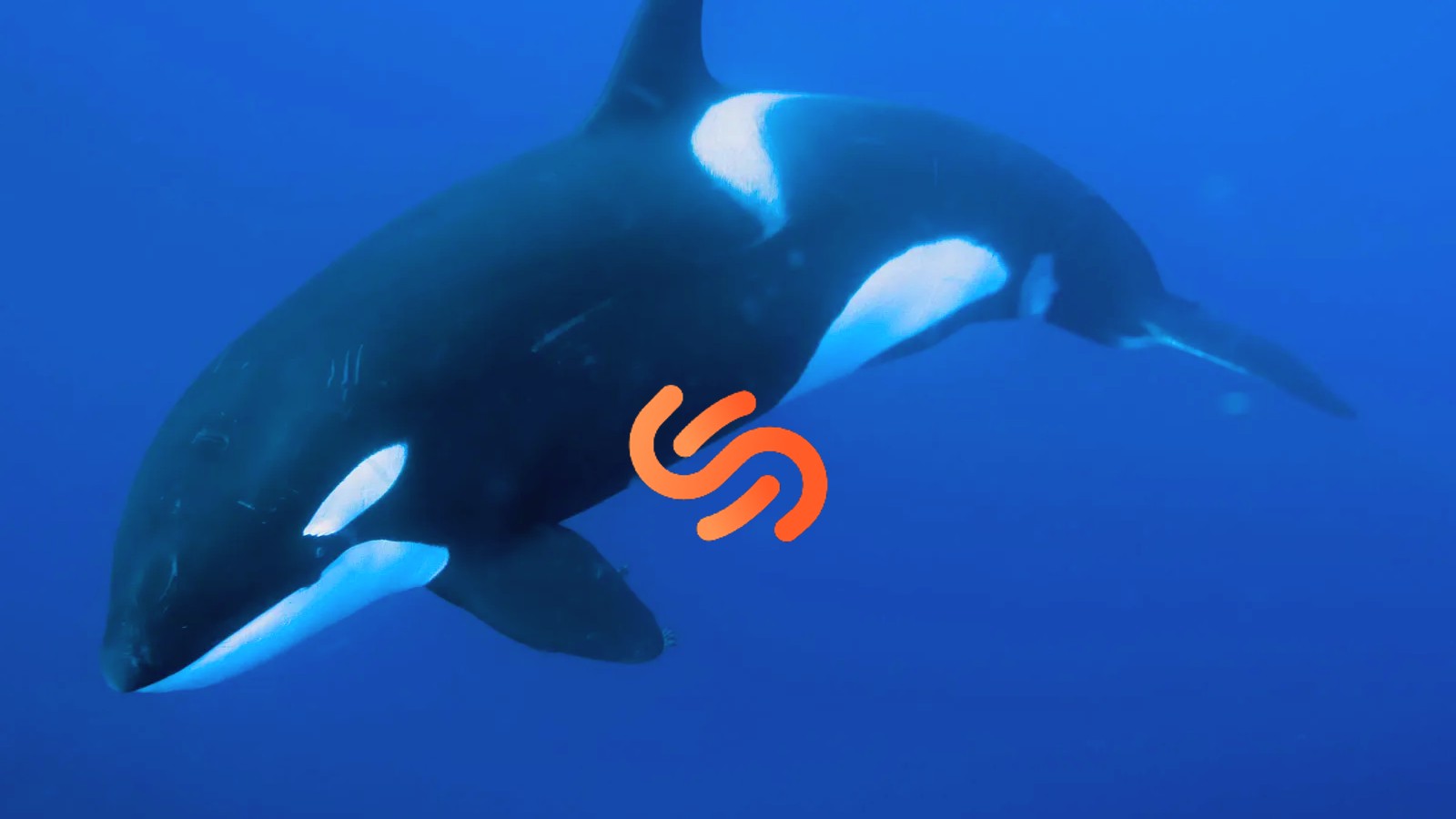 DeFi Protokolü Solend’den Balina Krizi için İkincil Oylama