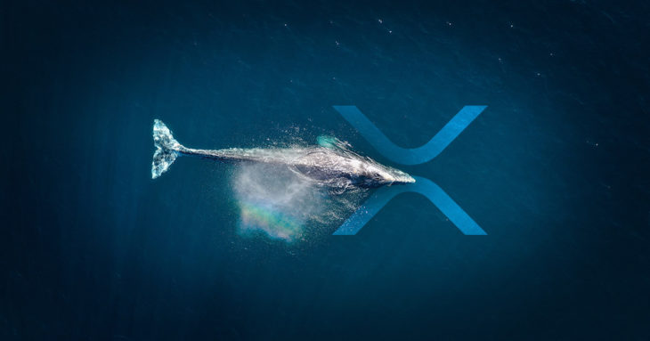 en buyuk bsc balinalari 18 milyonluk xrp tutuyor