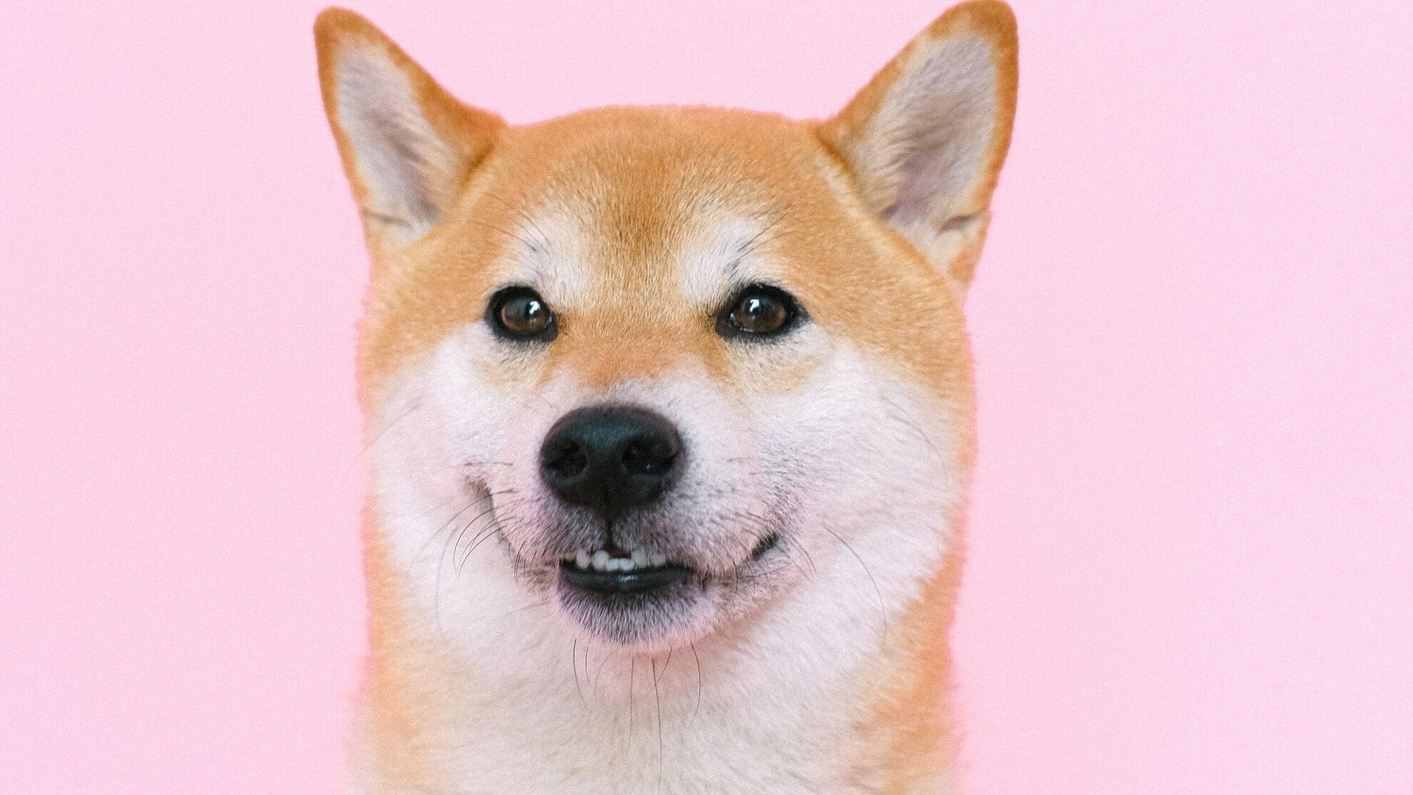 150 Milyar Shiba Inu, ETH Balinası Tarafından Satın Alındı