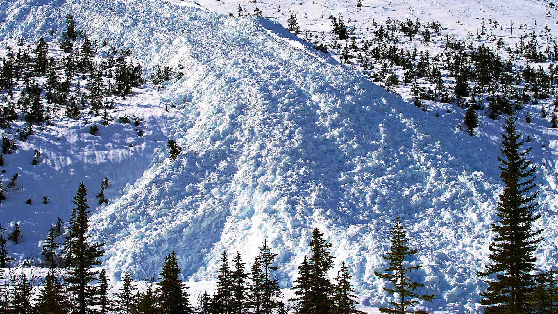 Avalanche (AVAX) Neden Düşüyor? – 29 Ağustos 2022