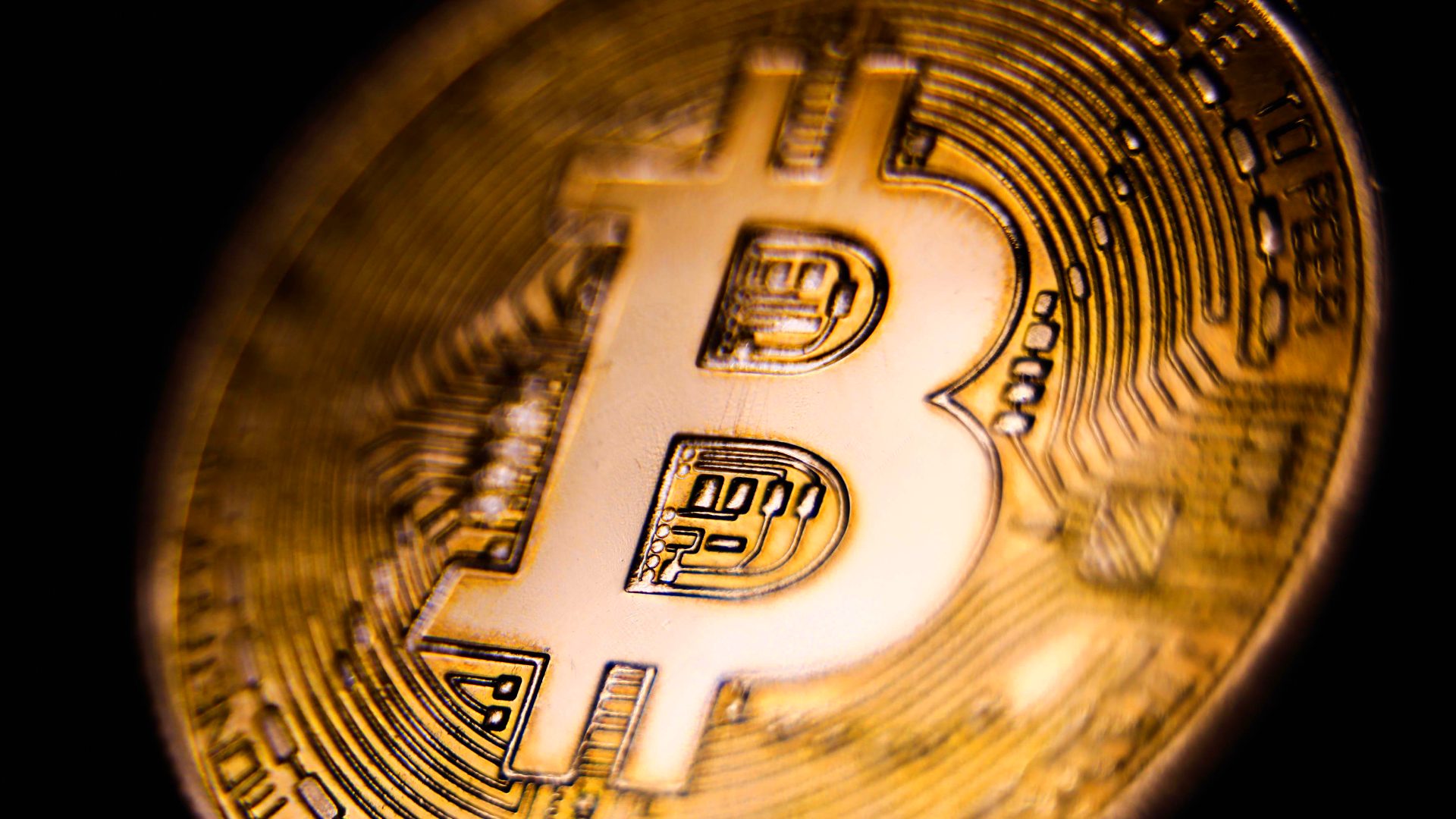 Coinbase'den 48.000 Bitcoin (BTC) Taşındı