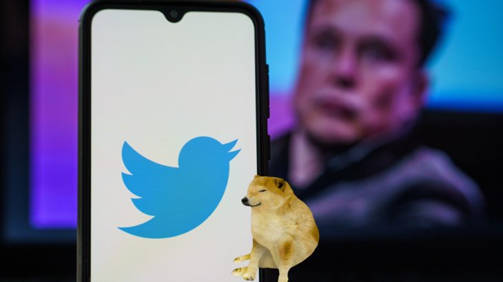 Musk Twitter ve Doge