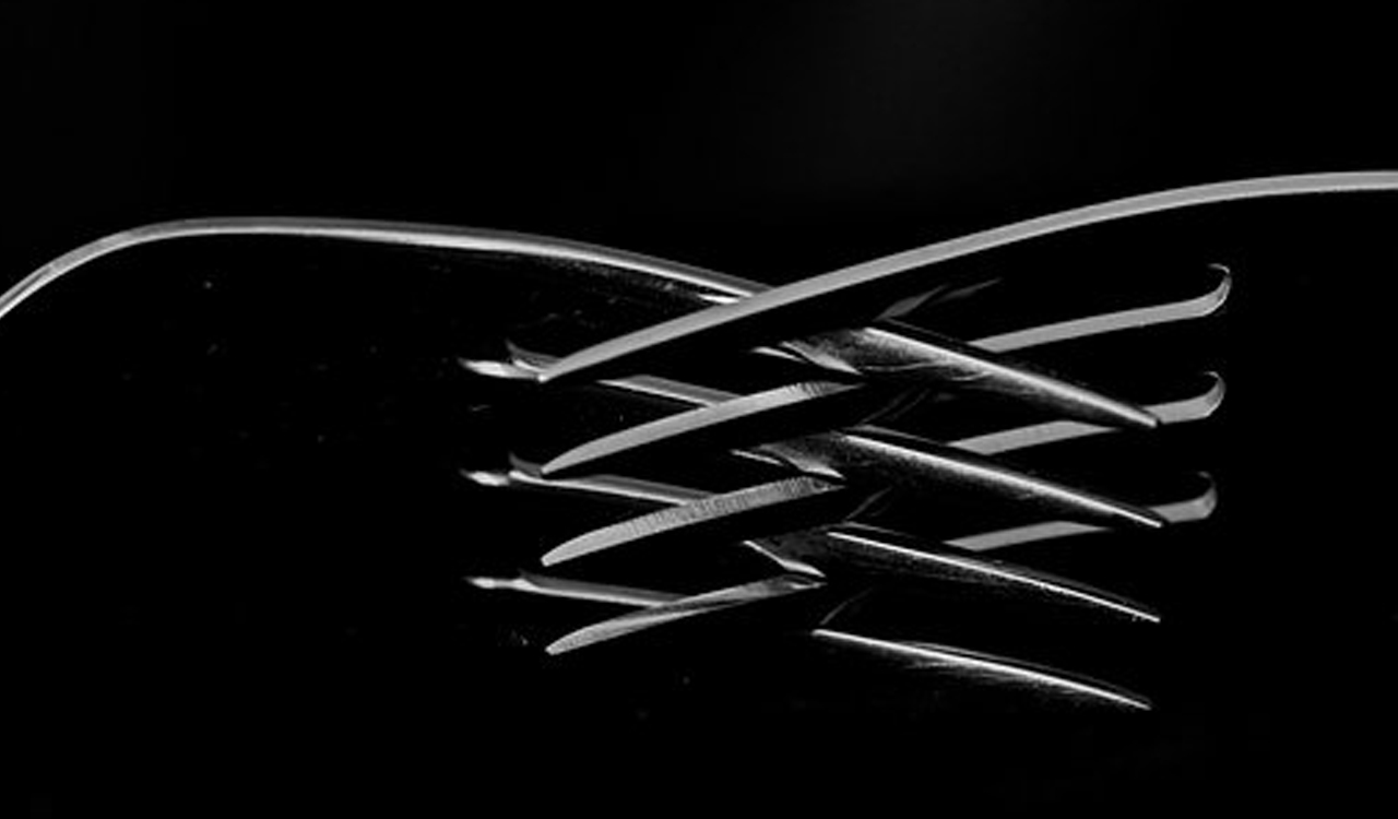 Çatallanma (Fork) Nedir?