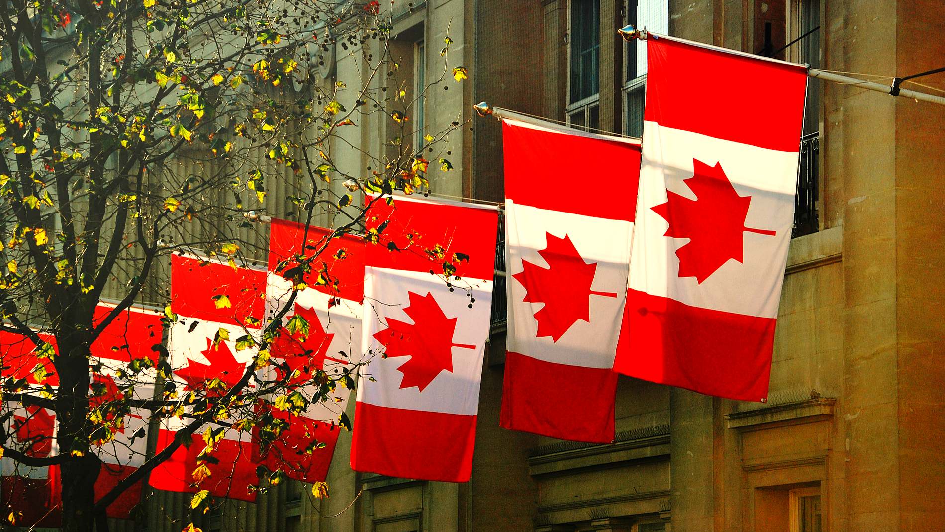 Kanada Yeni Bütçesince Kripto ve CBDC’ye Yer Verdi