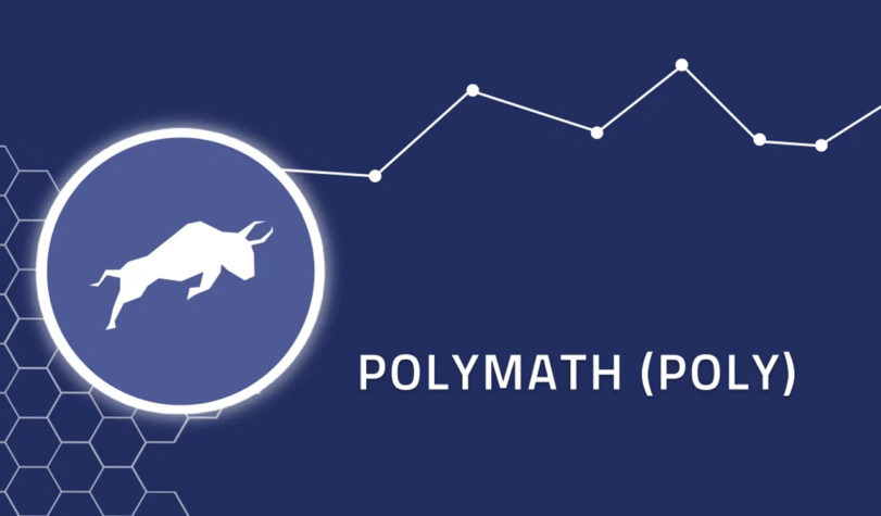 Polymath POLY nedir