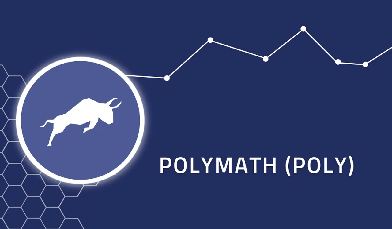 Polymath Nedir? POLY Nasıl Alınır?