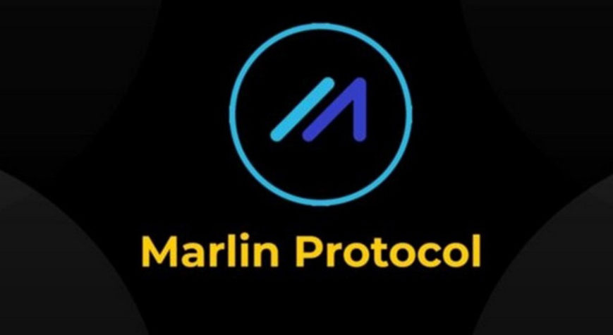 marlin