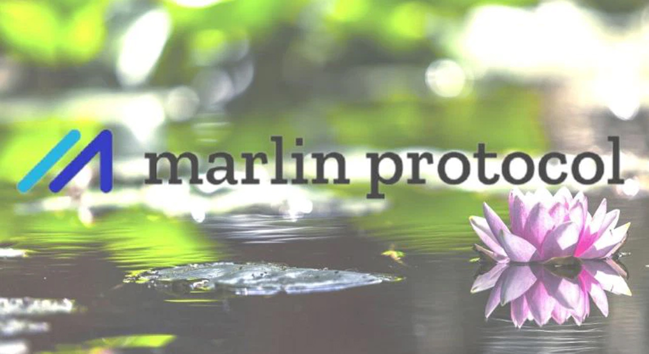 Marlin (POND) Coin Nedir?