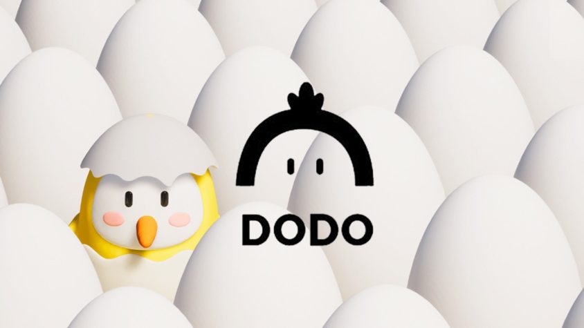 dodo nedir