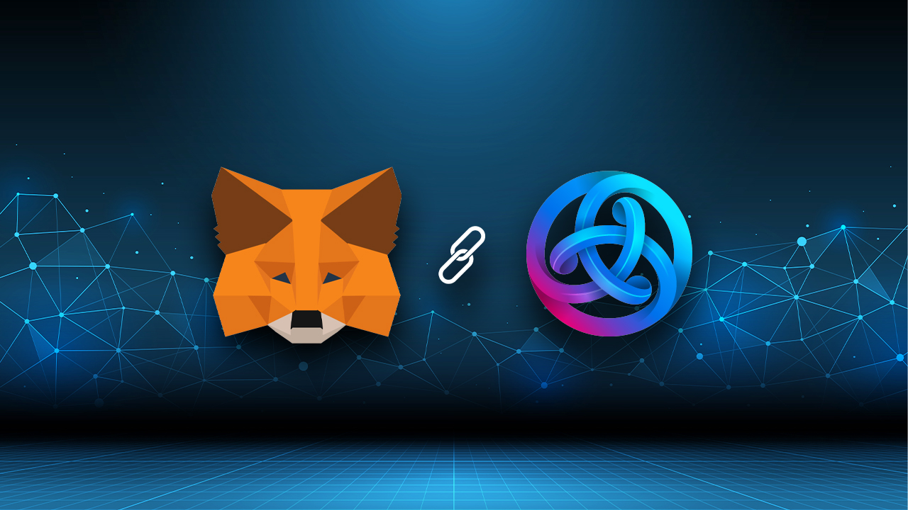 MetaMask’e Astar Network Nasıl Eklenir?