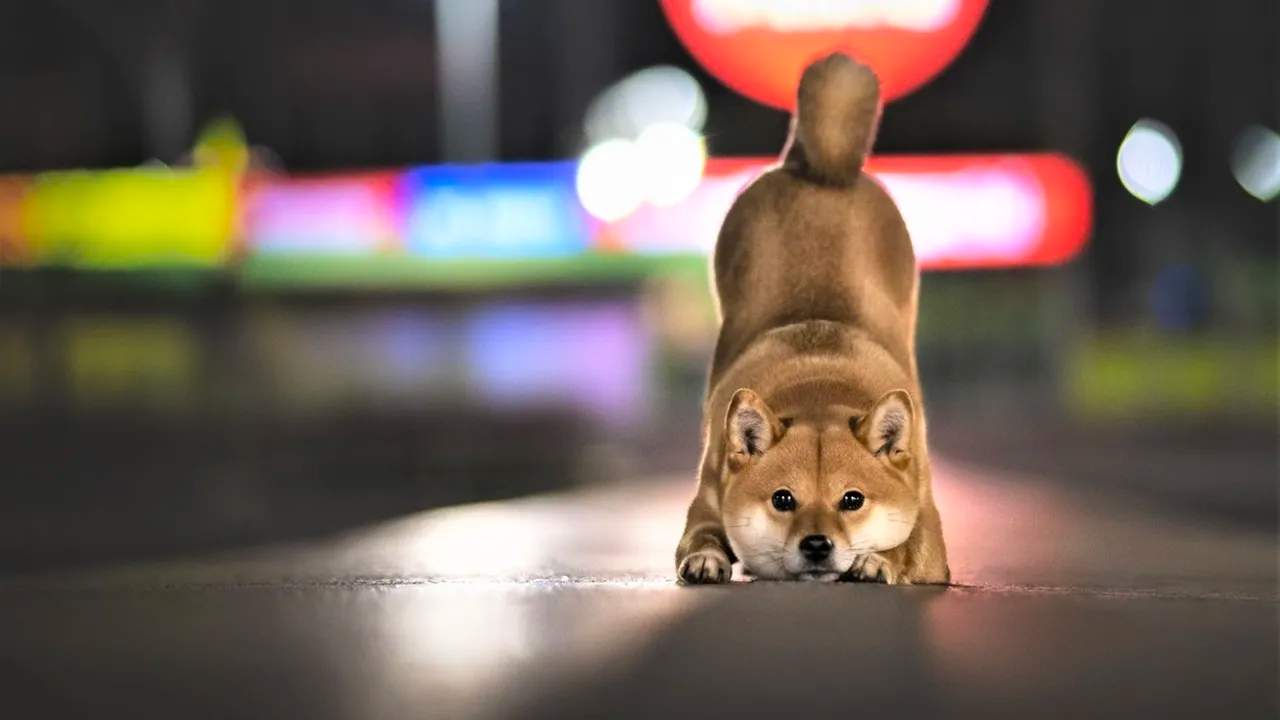 Shibarium’da Sona Yaklaşıldı
