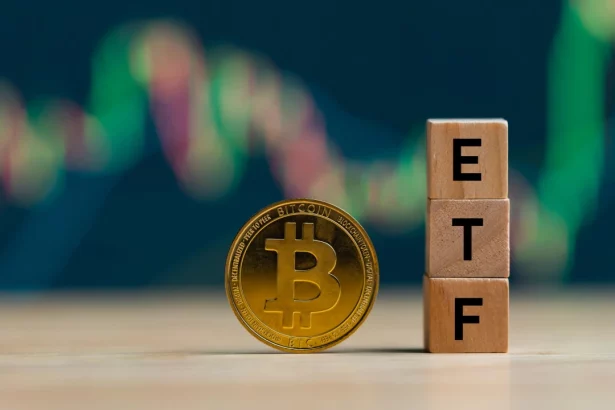 Bitcoin ETF'lerine yapılan girişler yeni bir dönüm noktasına ulaştı