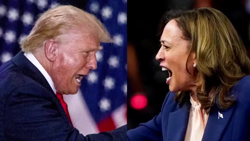 abd kripto trump harris